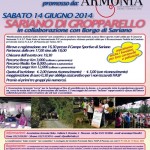 volantino cammina in rosa 2014 sariano di gropparello