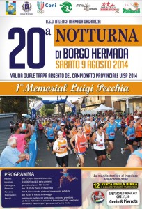 volantino corsa notturna borgo hermada 2014