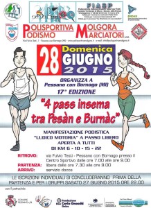 volantino 4 pass insema tra pesàn e burnàc 2015 pag1